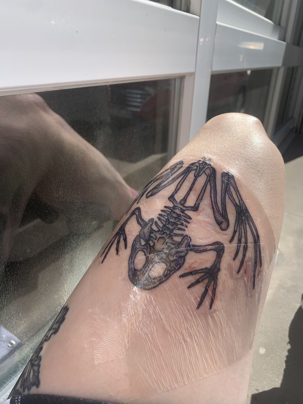 Frisch gestochenes Froschskelett in Blackwork
